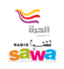 Alhurra and Radio Sawa Cover the Arab League Summit