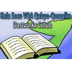 VOA Program Examines New Somali Constitution