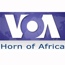 Statement: VOA Condemns Harassment of Reporter in Ethiopia