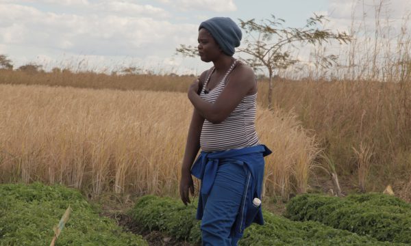A woman stands in a Malawean farm looking off to the left.