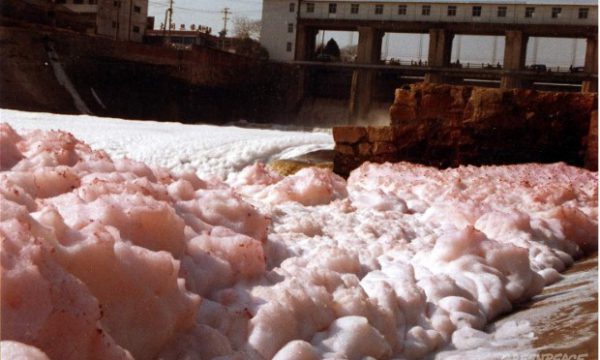 pink foam on the side of a river bank
